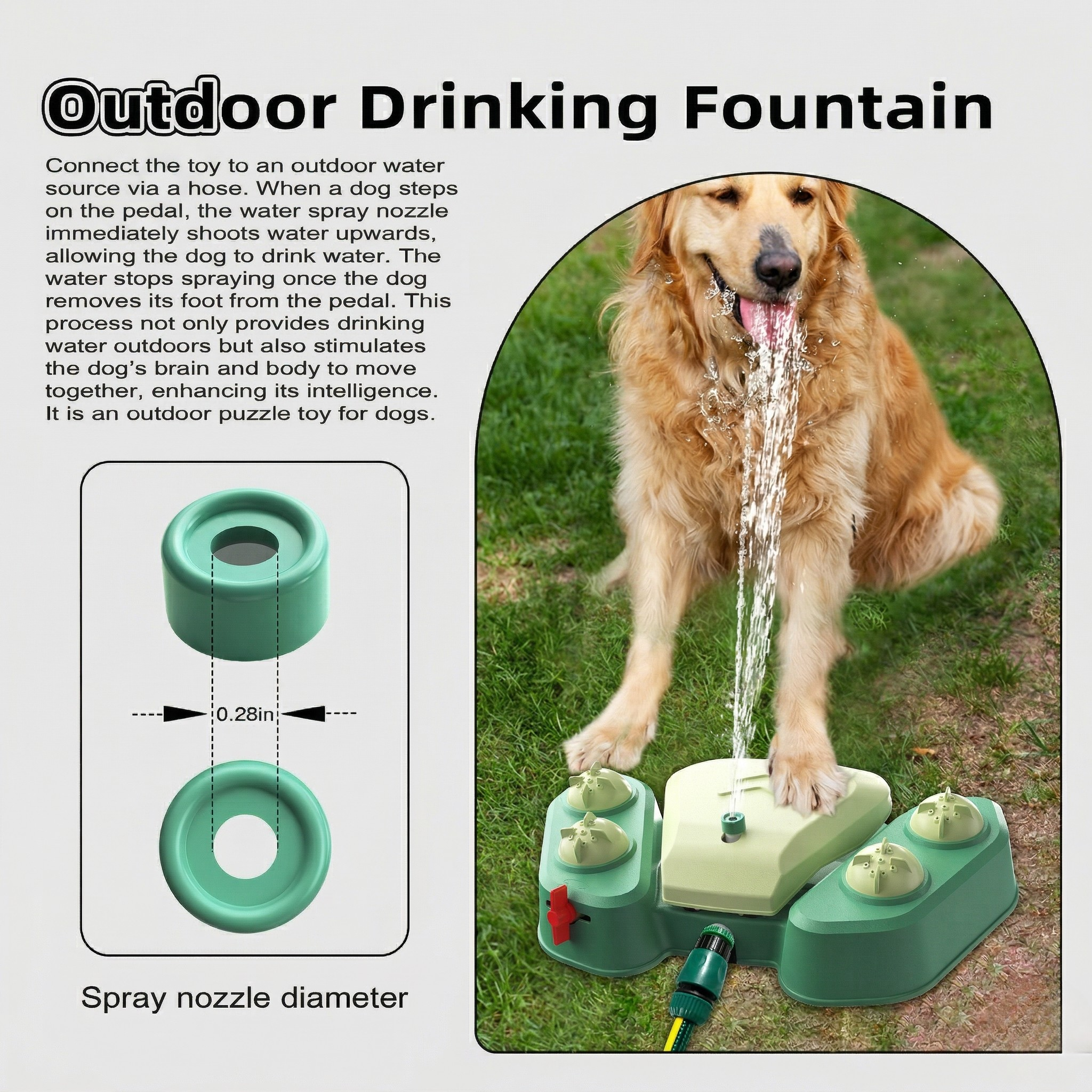 AquaPaw  Outdoor Play & Hydration Station