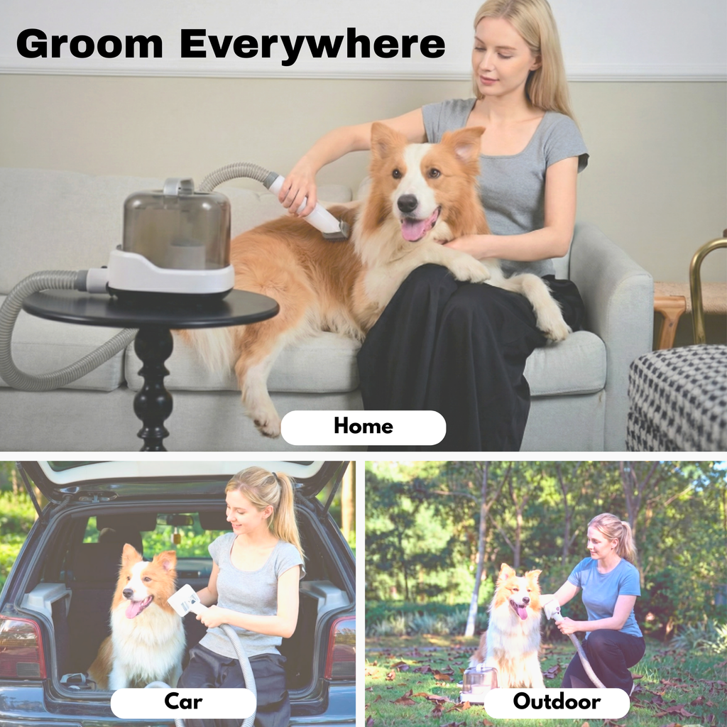 CalmCare™ Cordless Vacuum Grooming Kit by Dr. Milou