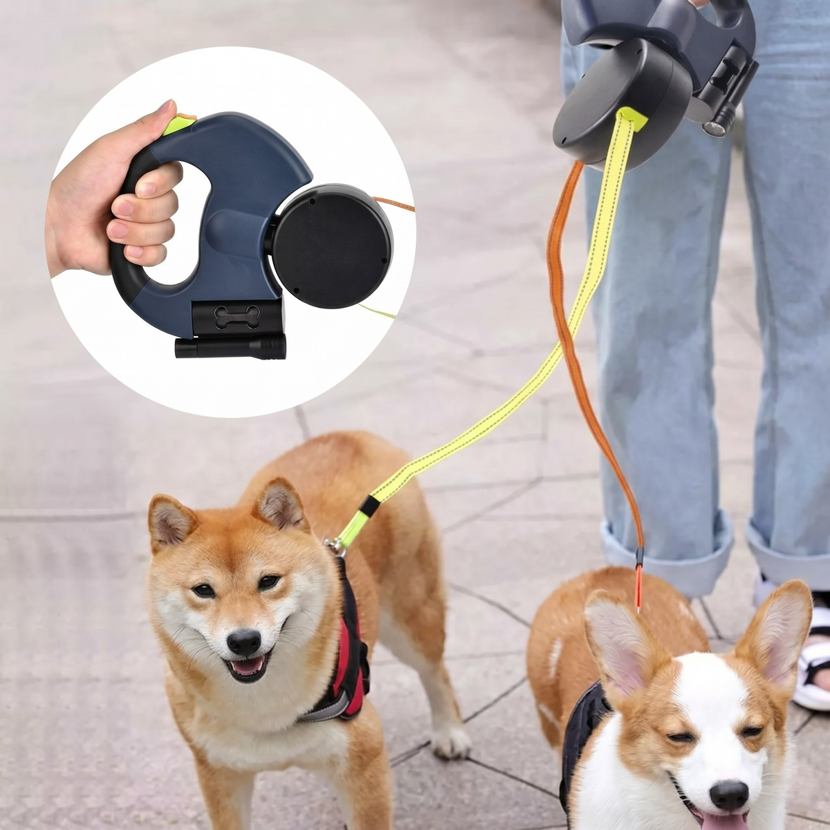 Dual Dog Leash with Anti-Tangle Rotation