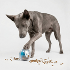 Interactive Treat Ball for Dogs