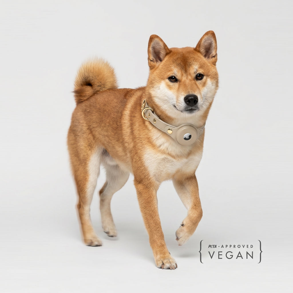 Collar - Air Tag Enabled - Vegan Leather - Cupertino