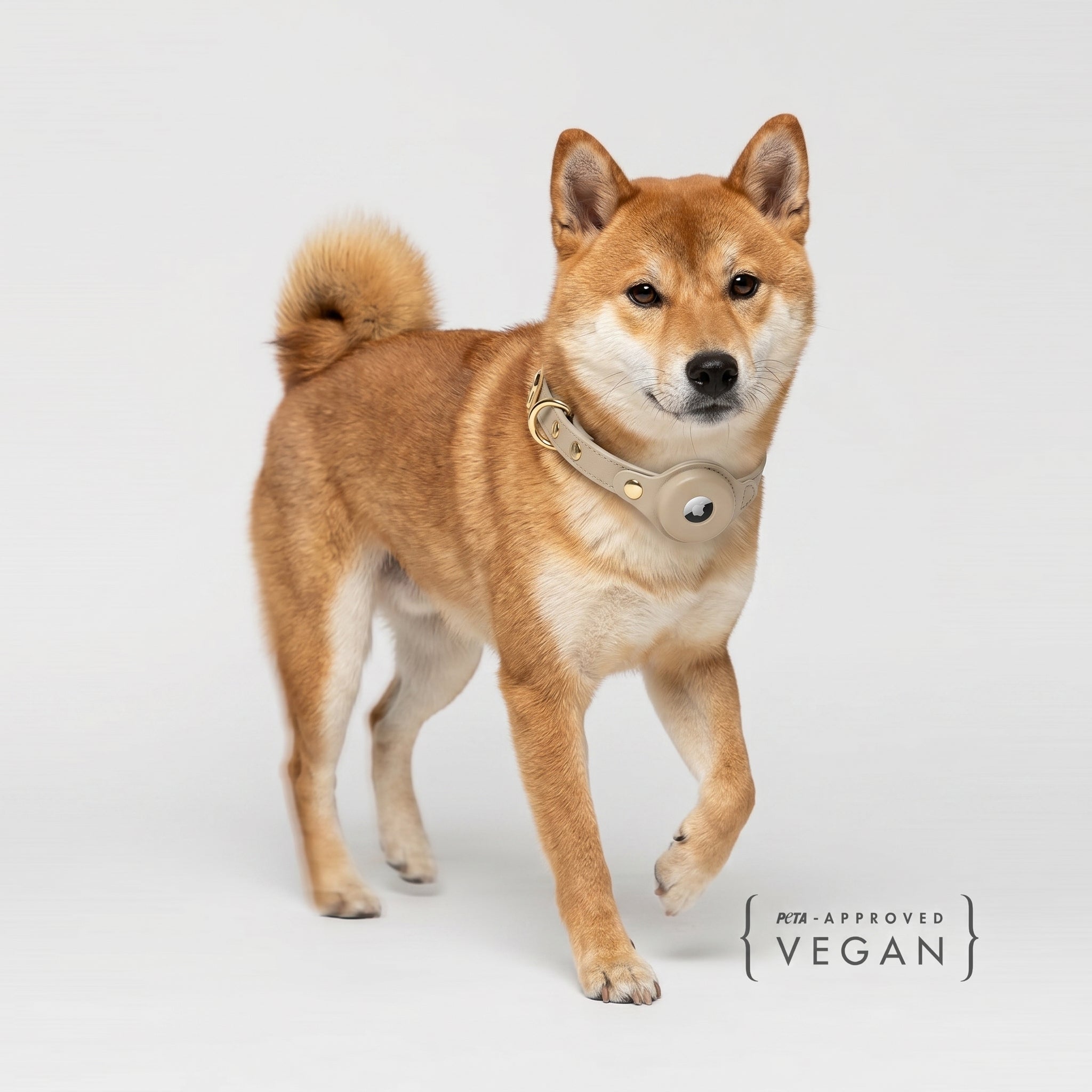 Collar - Air Tag Enabled - Vegan Leather - Cupertino