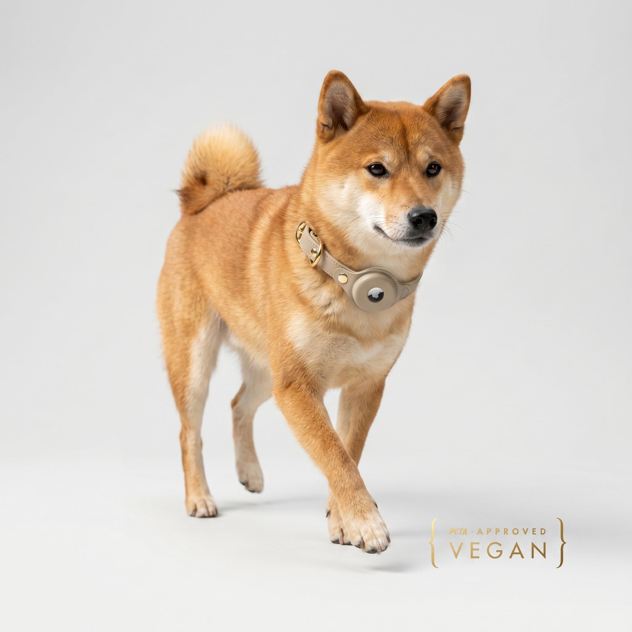 Collar - Air Tag Enabled - Vegan Leather - Cupertino