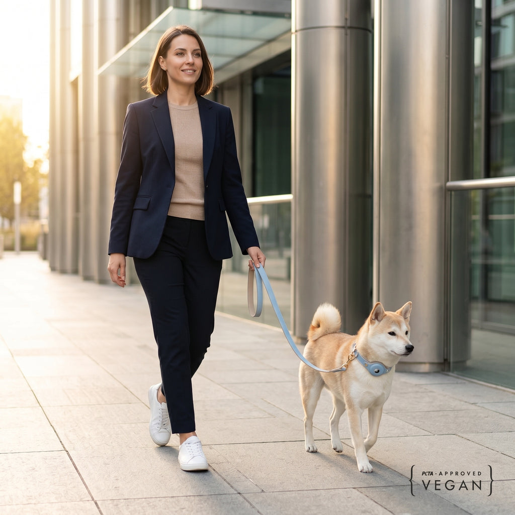 Collar - Air Tag Enabled - Vegan Leather - Cupertino