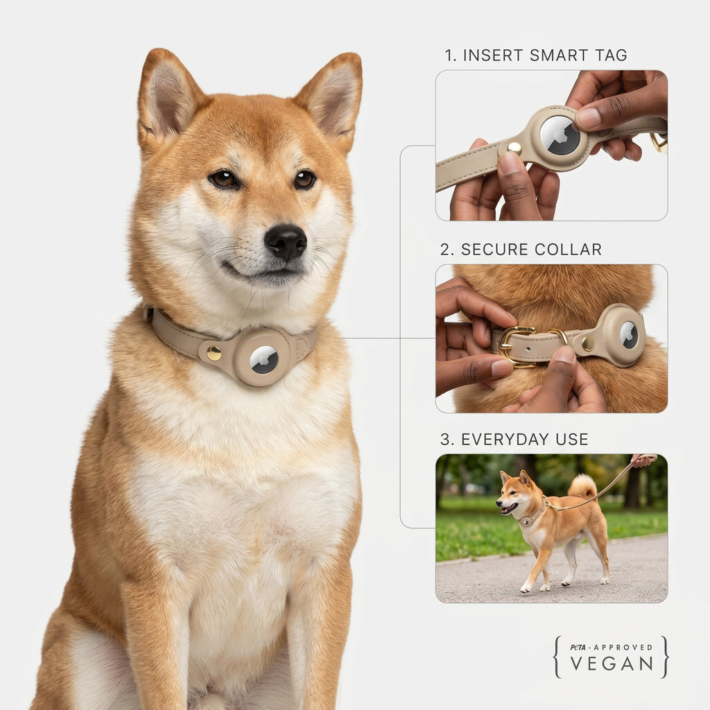 Collar - Air Tag Enabled - Vegan Leather - Cupertino