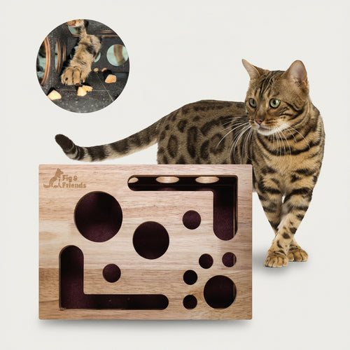 *The Original* Cat Nail File Enrichment Box