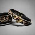 The Leopard Puppy Collar