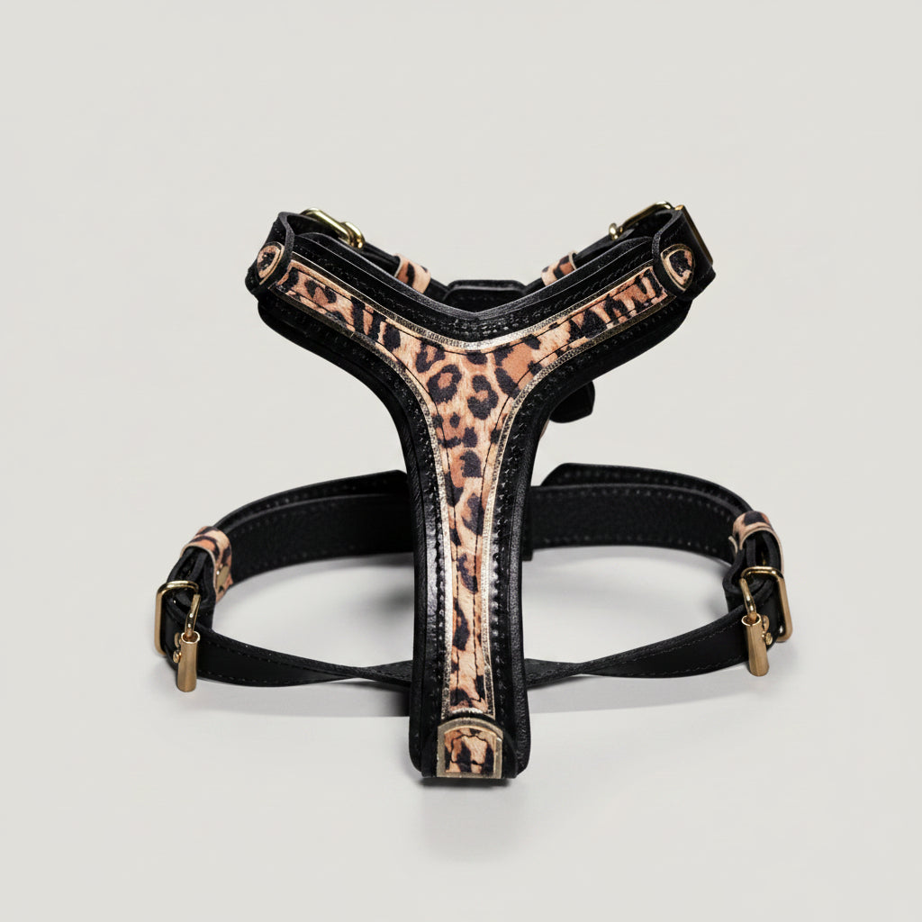 The Leopard Harness Small to Medium Size