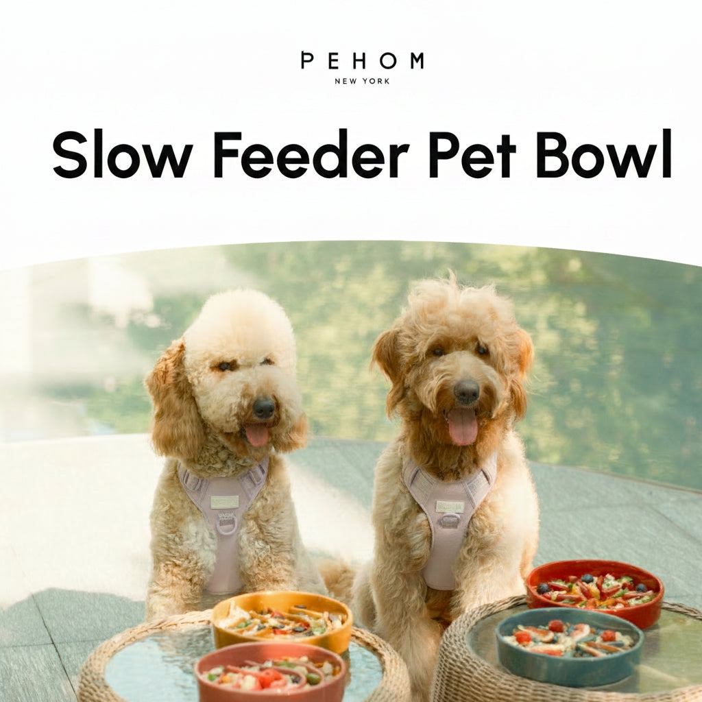 Wave Slow Feeder Dog Bowls
