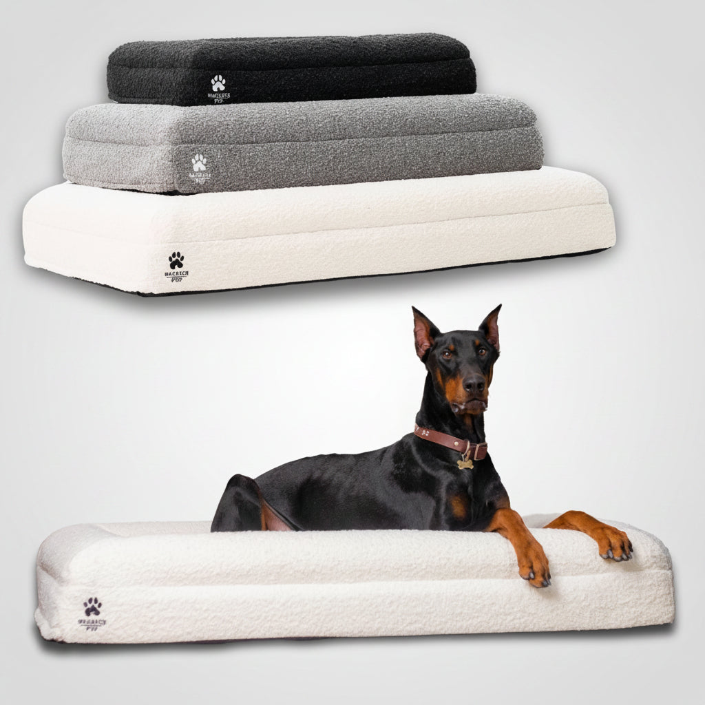 Luxury Orthopedic Dog Bed