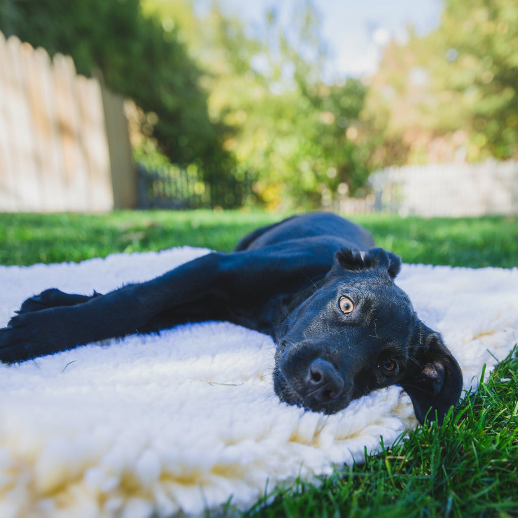 HuggleFleece® Mat Cat & Dog Bed