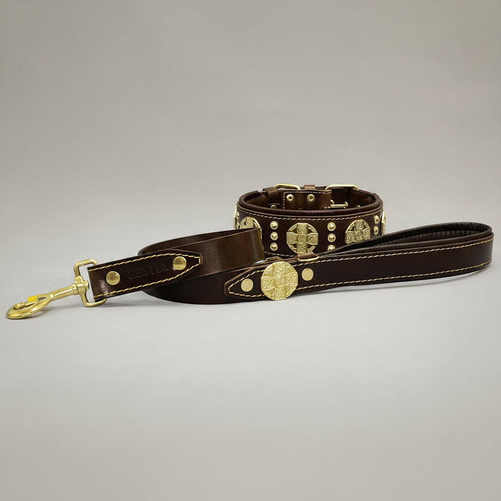 The "Maximus" collar 2.5 inch wide brown & gold