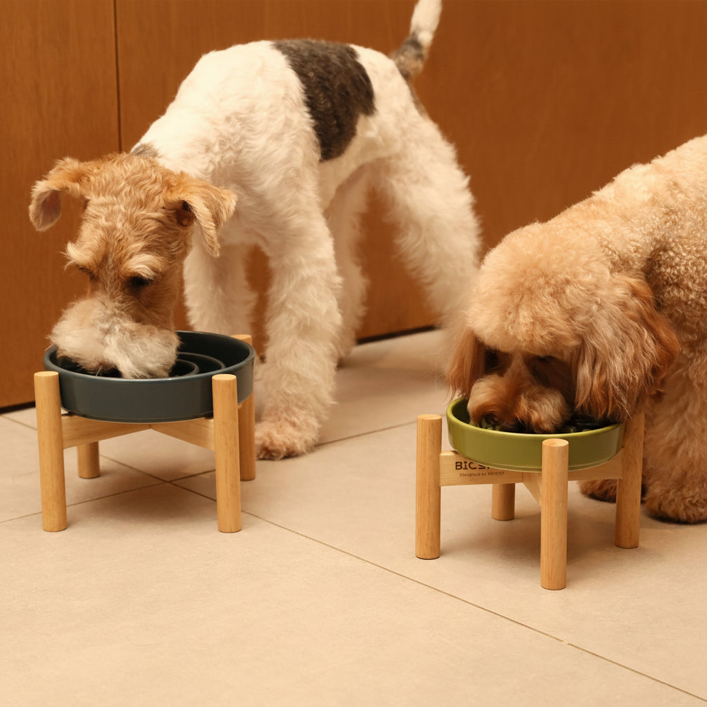 Wave Slow Feeder Dog Bowls