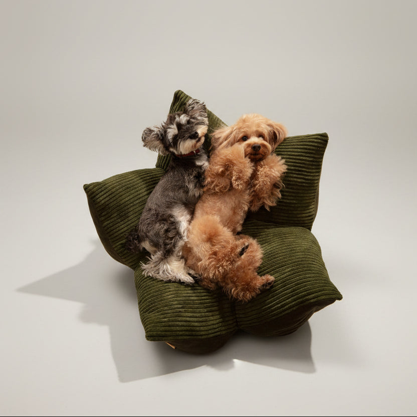 OULU X PEHOM - CUDDLE PET PILLOW BED