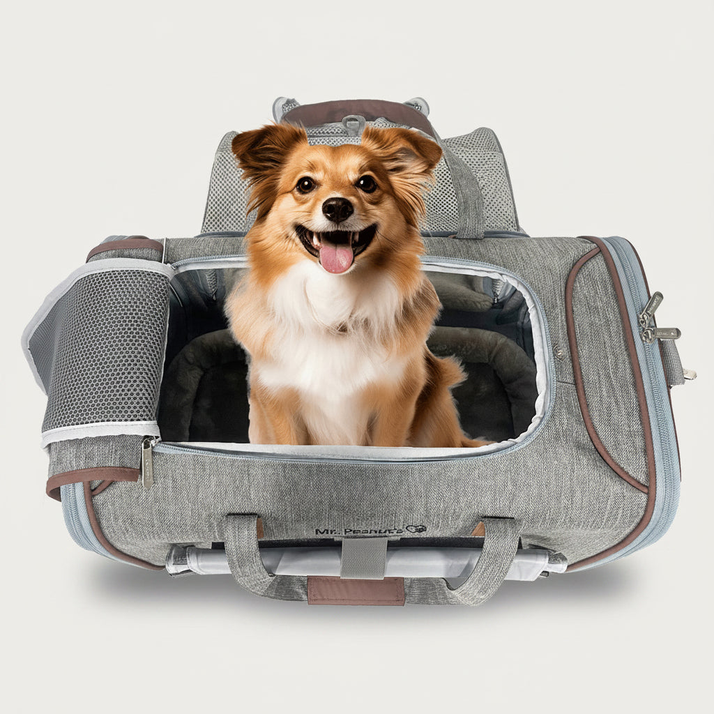 Mr. Peanut's Standard Size Airline Compliant Pet Carrier
