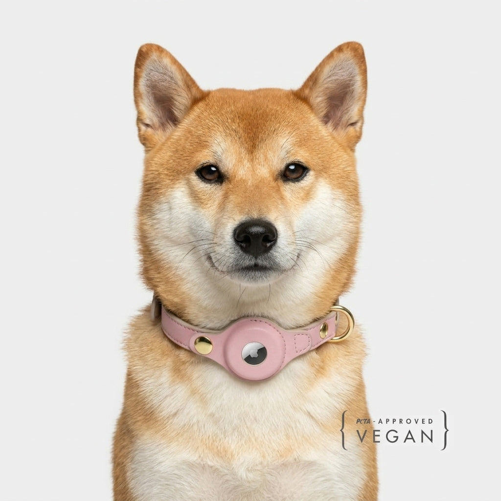 Collar - Air Tag Enabled - Vegan Leather - Cupertino