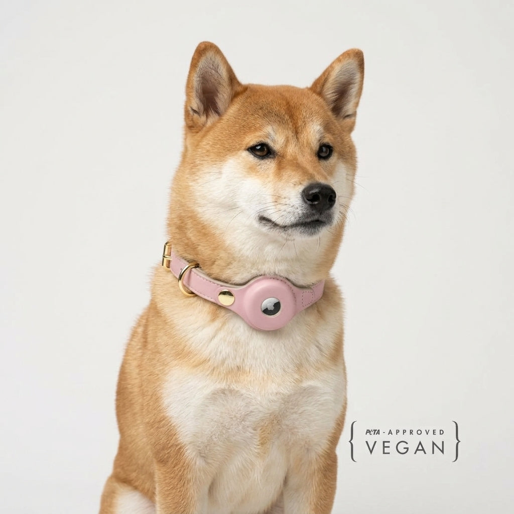 Collar - Air Tag Enabled - Vegan Leather - Cupertino