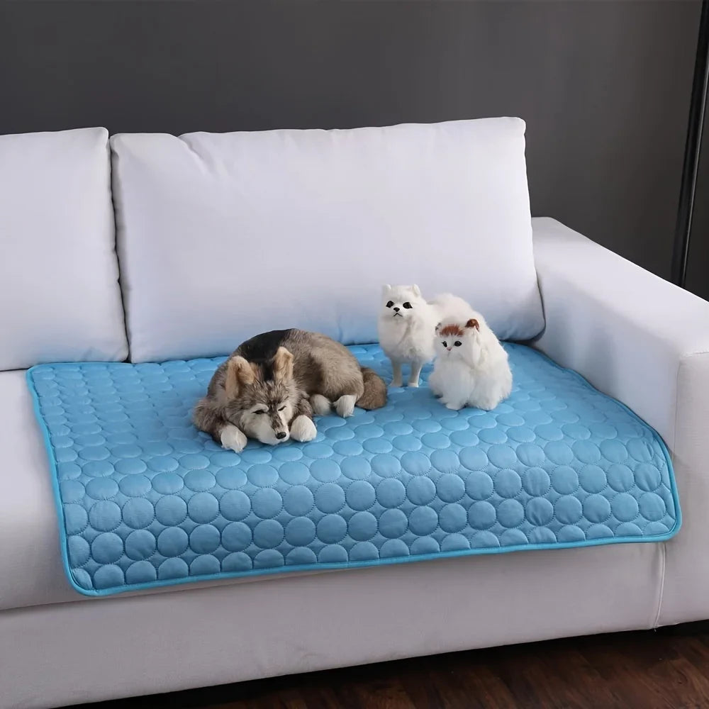 Blue pet mat on a white couch with two small dogs