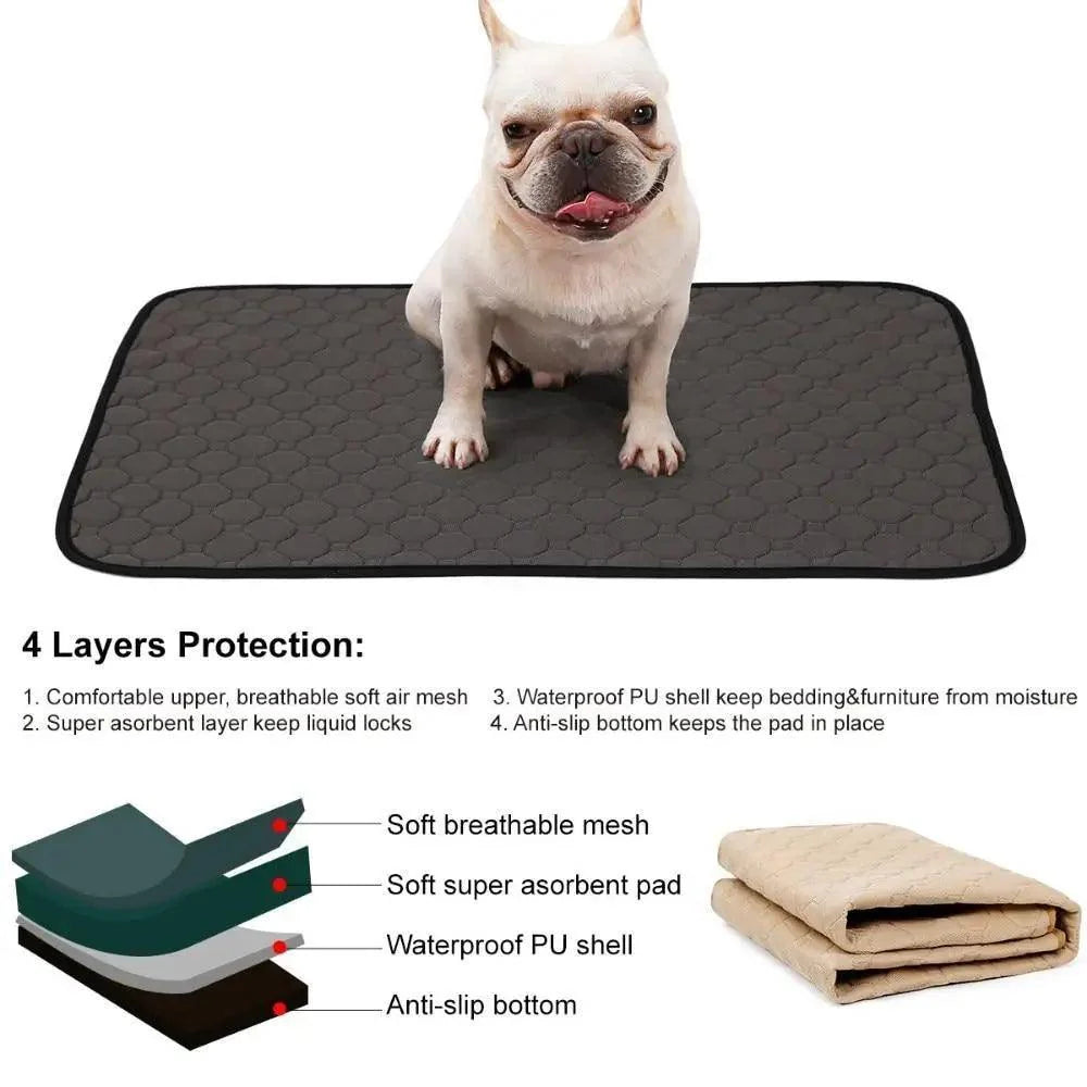 Washable Training Pee Pads for Dogs & Cats