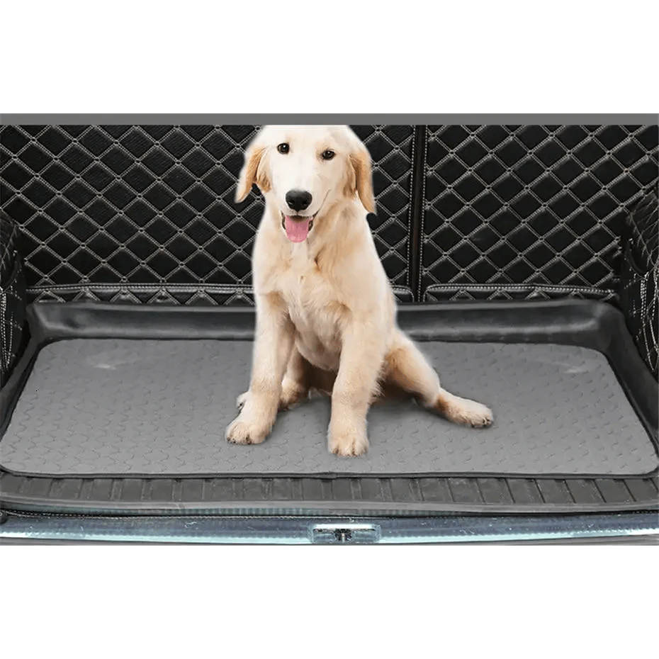 Washable Training Pee Pads for Dogs & Cats