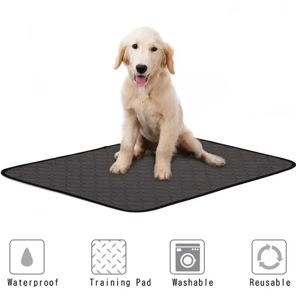 Washable Training Pee Pads for Dogs & Cats