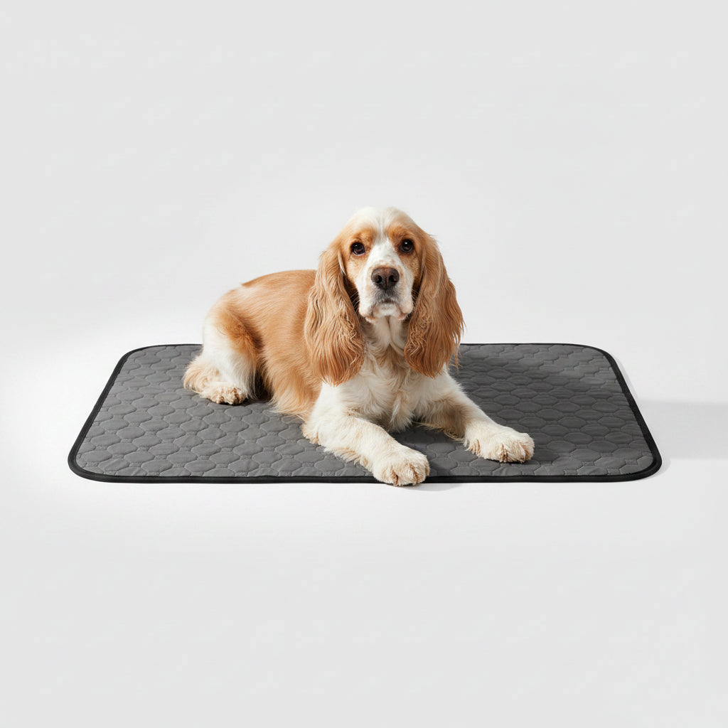 Washable Training Pee Pads for Dogs & Cats